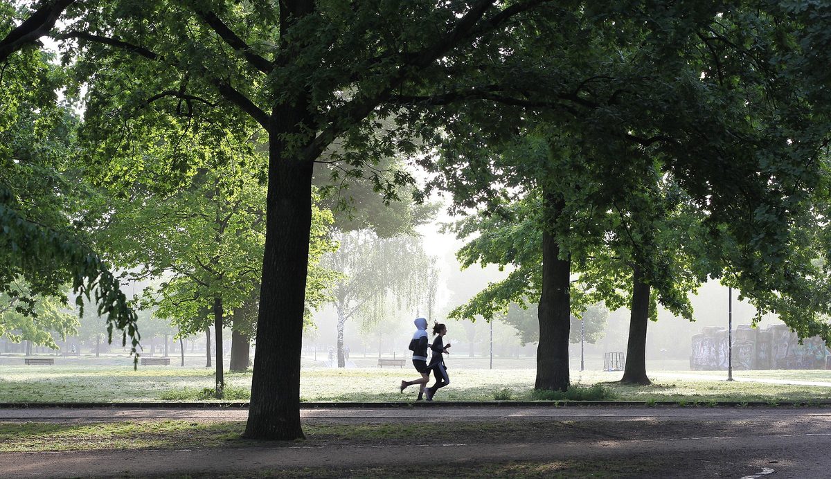 Two people jogging together on a tree-lined park path
