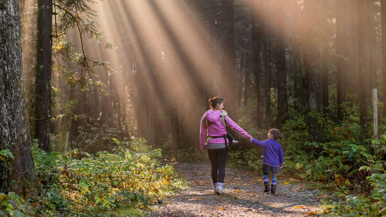 A mother and child walking hand in hand along a sunlit forest path